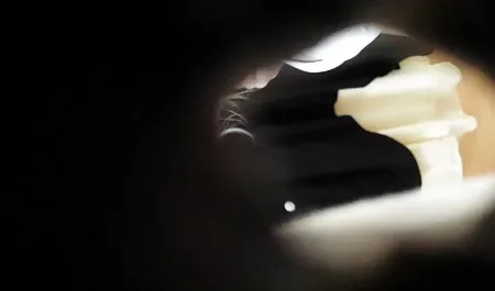خاله بومی بالغ خواهرزاده اش را در ترک اچ دی پورن ترکید